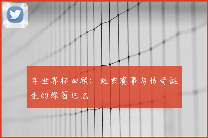 年世界杯回顾：经典赛事与传奇诞生的绿茵记忆