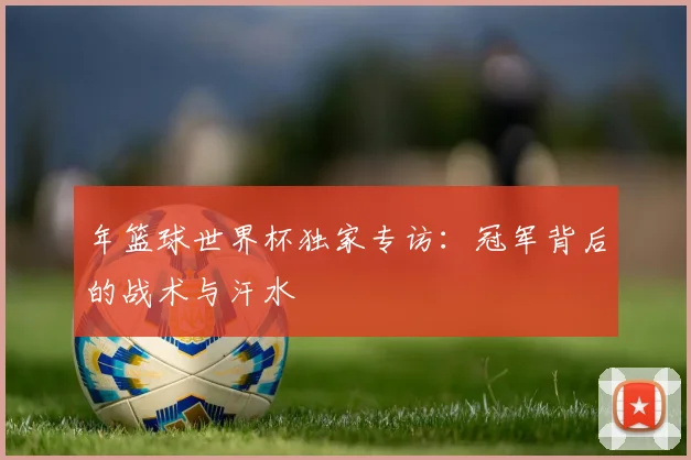 年篮球世界杯独家专访：冠军背后的战术与汗水