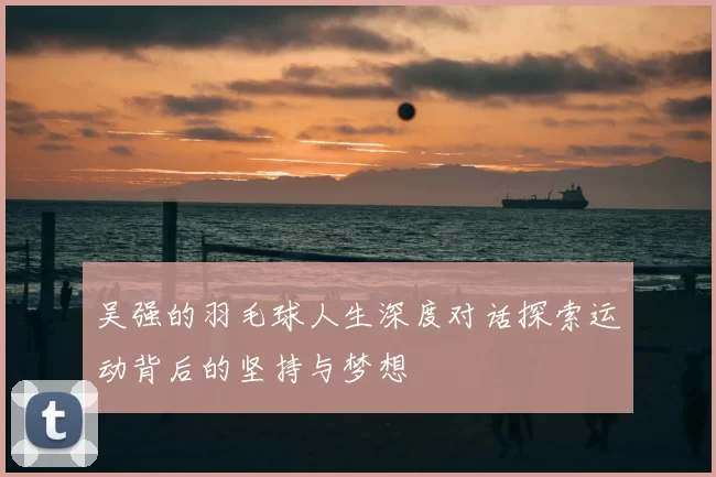 吴强的羽毛球人生深度对话探索运动背后的坚持与梦想