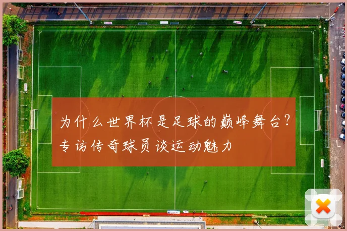 为什么世界杯是足球的巅峰舞台？专访传奇球员谈运动魅力