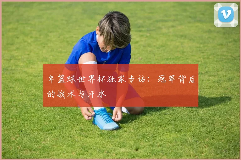 年篮球世界杯独家专访：冠军背后的战术与汗水