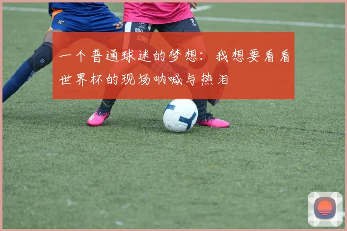 一个普通球迷的梦想:我想要看看世界杯的现场呐喊与热泪