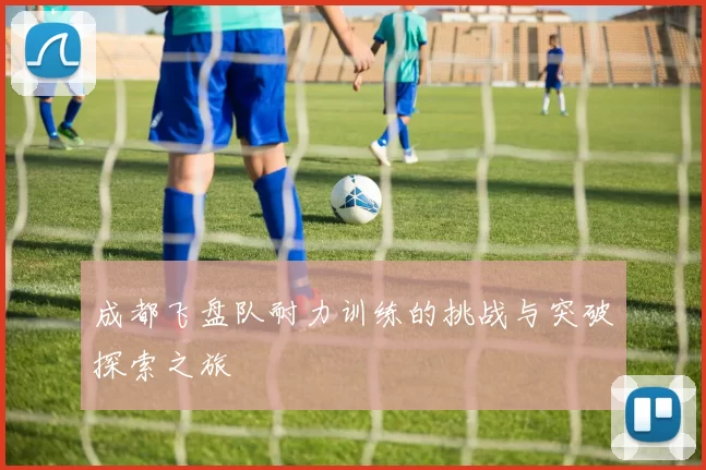 成都飞盘队耐力训练的挑战与突破探索之旅