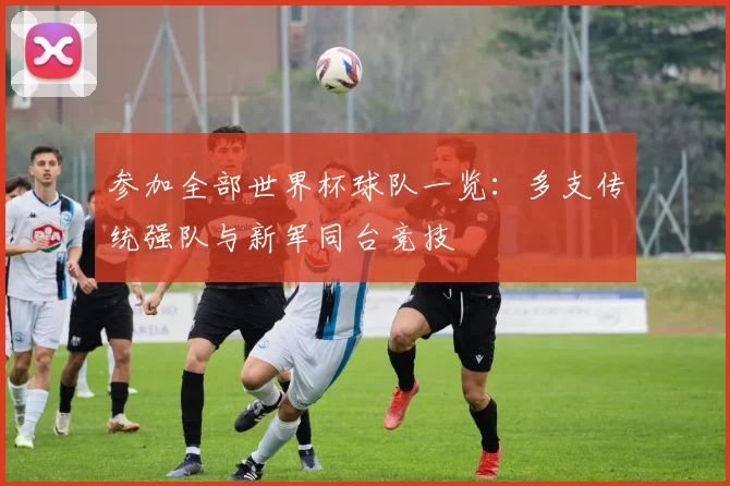 参加全部世界杯球队一览：多支传统强队与新军同台竞技