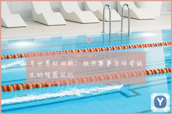 年世界杯回顾：经典赛事与传奇诞生的绿茵记忆