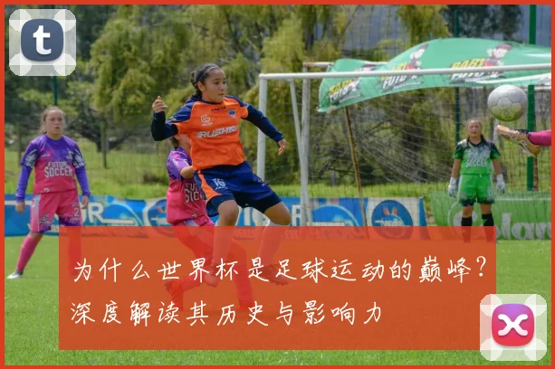 为什么世界杯是足球运动的巅峰？深度解读其历史与影响力