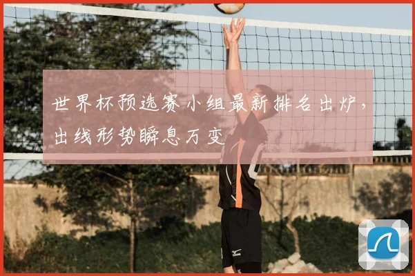 世界杯预选赛小组最新排名出炉，出线形势瞬息万变