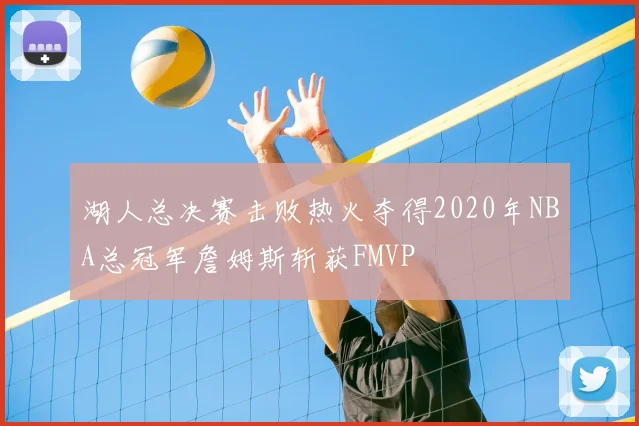 湖人总决赛击败热火夺得2020年NBA总冠军詹姆斯斩获FMVP