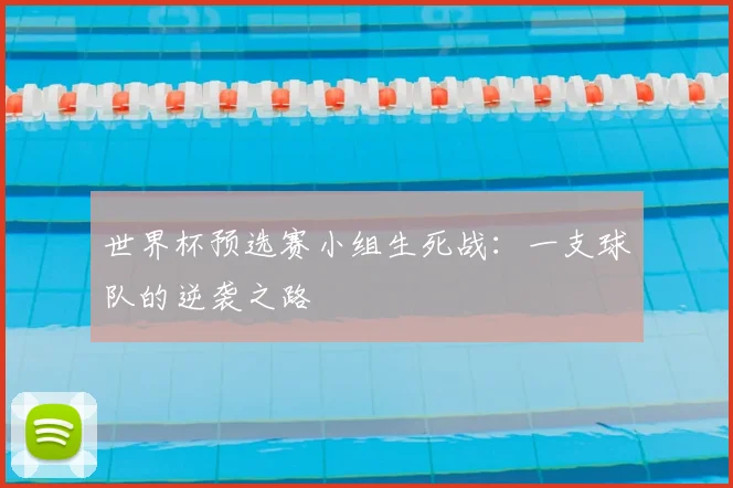世界杯预选赛小组生死战：一支球队的逆袭之路