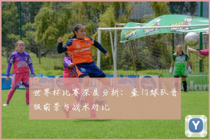 世界杯比赛深度分析：豪门球队晋级前景与战术对比