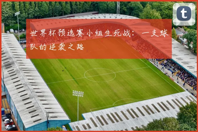 世界杯预选赛小组生死战：一支球队的逆袭之路