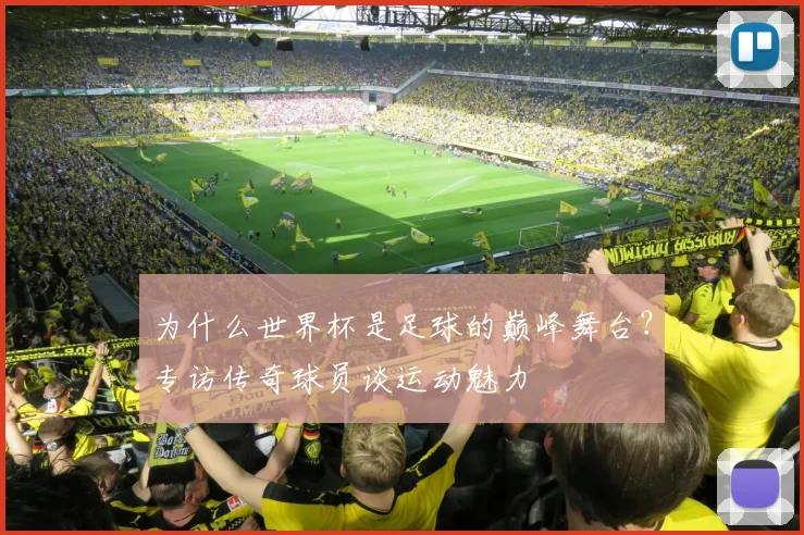 为什么世界杯是足球的巅峰舞台？专访传奇球员谈运动魅力