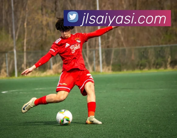 华体会体育APP 封面图